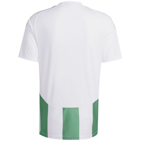 Koszulka męska adidas Striped 24 Jersey biało-zielona IW2148 Adidas teamwear