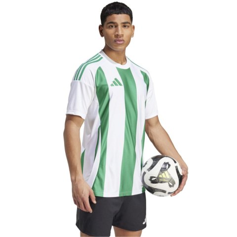 Koszulka męska adidas Striped 24 Jersey biało-zielona IW2148 Adidas teamwear