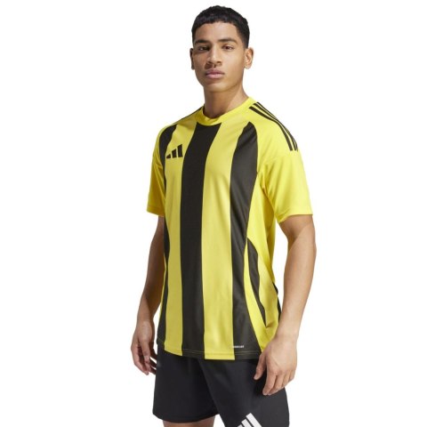 Koszulka męska adidas Striped 24 Jersey żółto-czarna IW2146 Adidas teamwear