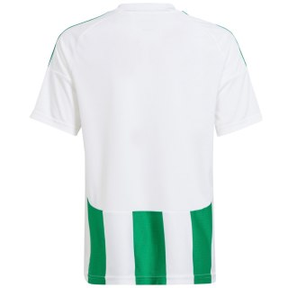 Koszulka dla dzieci adidas Striped 24 biało-zielona IW2138 Adidas teamwear