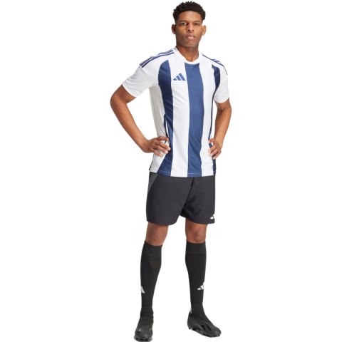 Koszulka męska adidas Striped 24 Jersey biało-niebieska IW4554 Adidas teamwear