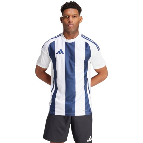 Koszulka męska adidas Striped 24 Jersey biało-niebieska IW4554 Adidas teamwear