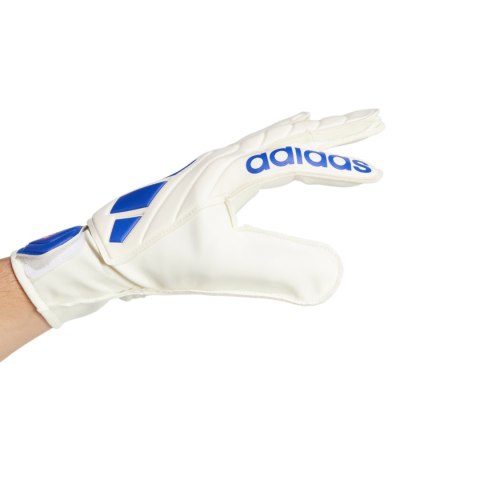 Rękawice bramkarskie adidas Copa Club Goalkeeper biało-niebieskie IX3835 Adidas teamwear