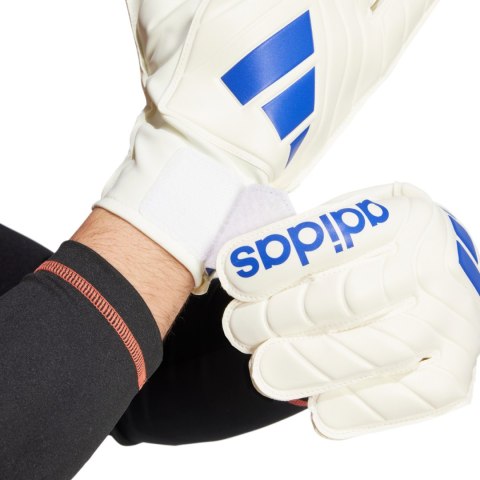 Rękawice bramkarskie adidas Copa Club Goalkeeper biało-niebieskie IX3835 Adidas teamwear