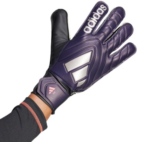 Rękawice bramkarskie adidas Copa Club Goalkeeper fioletowe IX3836 Adidas teamwear