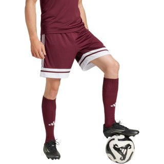 Spodenki męskie adidas Squadra 25 bordowe JC8677 Adidas teamwear