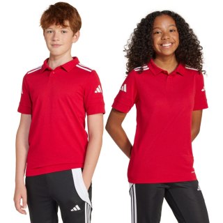 Koszulka dla dzieci adidas Squadra 25 Polo czerwona JY3411 Adidas teamwear