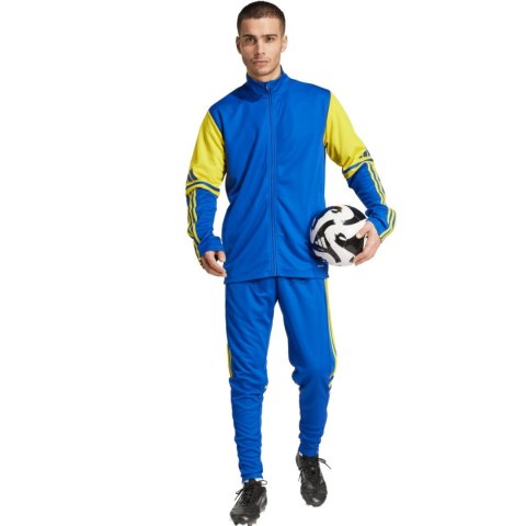 Spodnie męskie adidas Squadra 25 Training niebiesko-żółte JP3152 Adidas teamwear