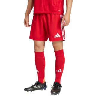 Spodenki męskie adidas Tastigo 25 czerwone JN7157 Adidas teamwear