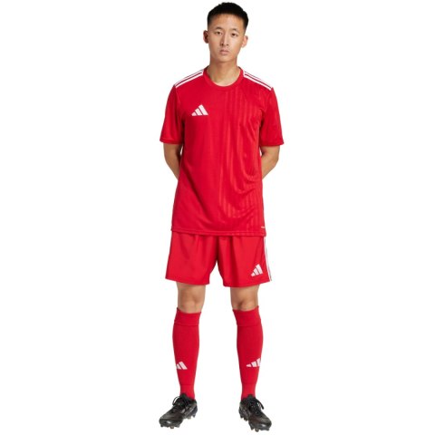 Spodenki męskie adidas Tastigo 25 czerwone JN7157 Adidas teamwear