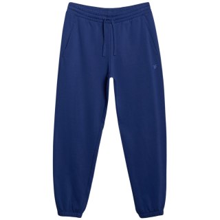 Spodnie męskie 4F CAS M1139 granatowe 4FWMM00TTROM1139 031S 4F