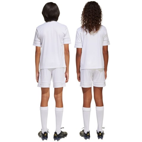 Spodenki dla dzieci adidas Squadra 25 białe JJ2423 Adidas teamwear