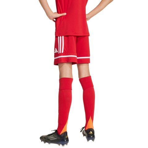 Spodenki dla dzieci adidas Squadra 25 czerwone JN5456 Adidas teamwear
