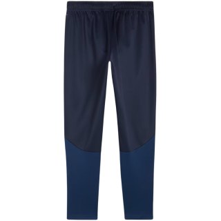 Spodnie męskie Puma Team Goal Training granatowe 658639 06 Puma