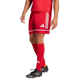 Spodenki męskie adidas Squadra 25 czerwone JN5466 Adidas teamwear