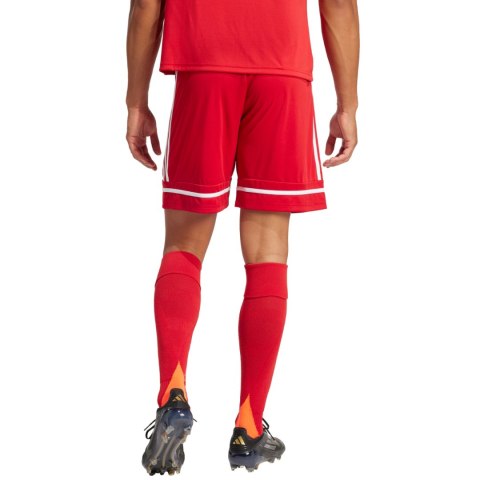 Spodenki męskie adidas Squadra 25 czerwone JN5466 Adidas teamwear