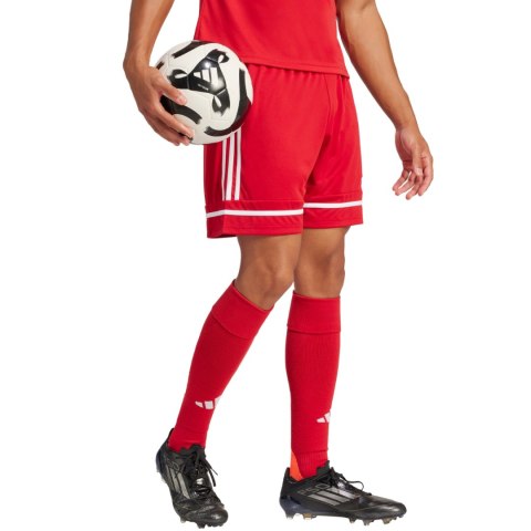 Spodenki męskie adidas Squadra 25 czerwone JN5466 Adidas teamwear
