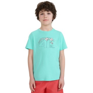 Koszulka dla chłopca 4F M1917 miętowa 4FJWSS25TTSHM1917 47S 4F