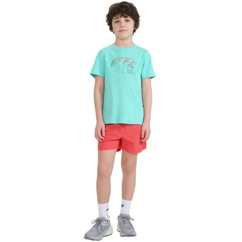 Koszulka dla chłopca 4F M1917 miętowa 4FJWSS25TTSHM1917 47S 4F