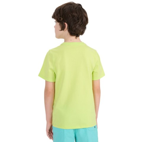 Koszulka dla chłopca 4F M1917 soczysta zieleń 4FJWSS25TTSHM1917 45S 4F