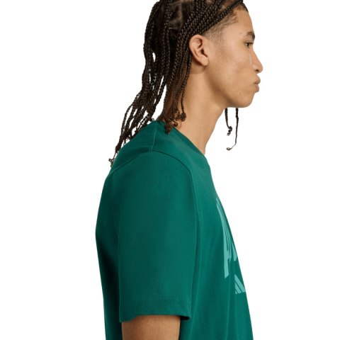 Koszulka męska adidas Collegiate Lineage Graphic zielona KA7135 Adidas