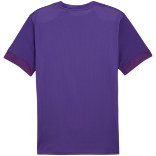 Koszulka męska Puma teamGoal Matchday Jersey fioletowa 705747 10 Puma