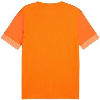 Koszulka męska Puma teamGoal Matchday Jersey pomarańczowa 705747 08 Puma