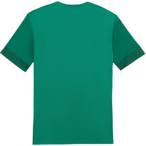 Koszulka męska Puma teamGoal Matchday Jersey zielona 705747 05 Puma