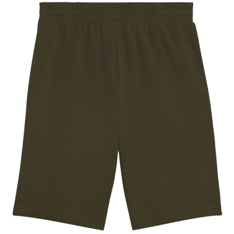 Spodenki męskie Puma Ess 2 Color No. 1 Logo khaki 684715 70 Puma