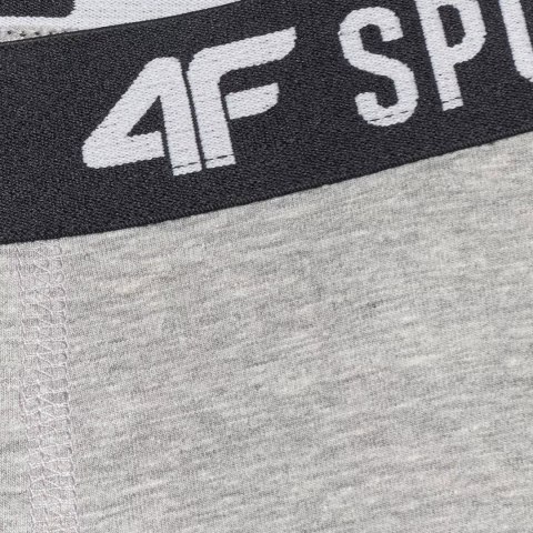 Bokserki dla chłopca 4F M061 3pak multikolor 4FJWAW25UBXSM061 90S 4F