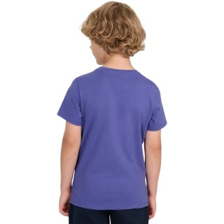 Koszulka dla chłopca 4F M2399 niebieska 4FJWAW25TTSHM2399 33S 4F