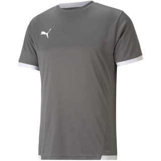 Koszulka męska Puma teamLIGA Jersey szara 704917 13 Puma