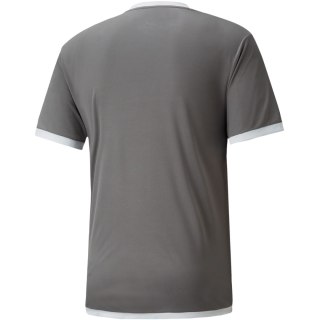 Koszulka męska Puma teamLIGA Jersey szara 704917 13 Puma