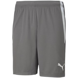 Spodenki męskie Puma teamLIGA szare 704924 13 Puma
