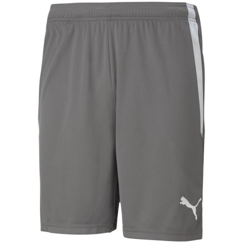 Spodenki męskie Puma teamLIGA szare 704924 13 Puma