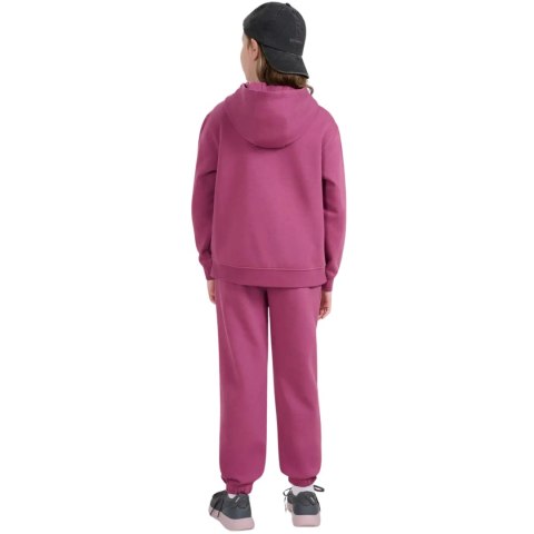 Spodnie dla dziewczynki 4F CAS F1249 ciemny fiolet 4FJWAW25TTROF1249 50S 4F