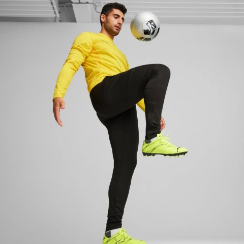 Spodnie męskie Puma Team Goal Slim Training czarne 659037 03 Puma