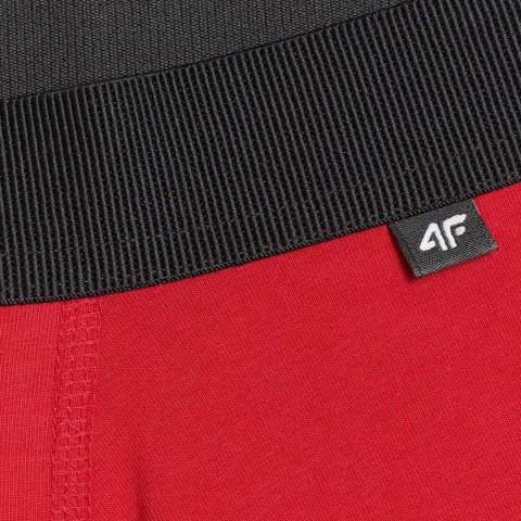 Bokserki męskie 4F M059 2-pak multikolor 2 4FWMM00UBXSM059 92S 4F