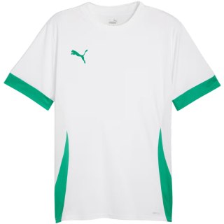 Koszulka męska Puma teamGoal Matchday Jersey biało-zielona 705747 15 Puma