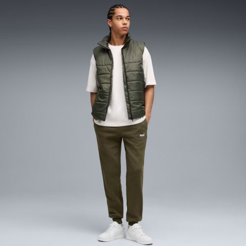 Spodnie męskie Puma ESS 2 Color No.1 Logo oliwkowe 684713 70 Puma