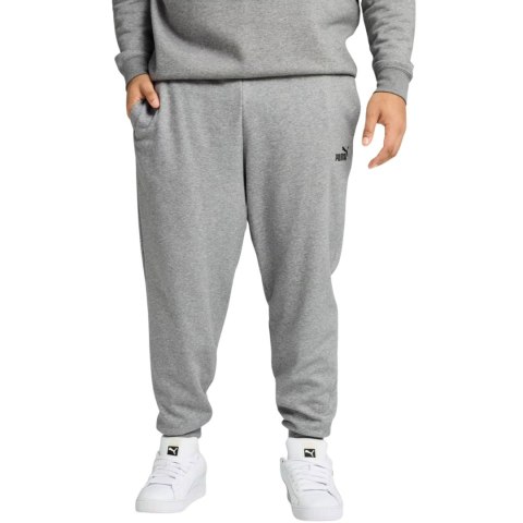 Spodnie męskie Puma ESS no.1 Logo Sweatpants FL szare 682606 03 Puma