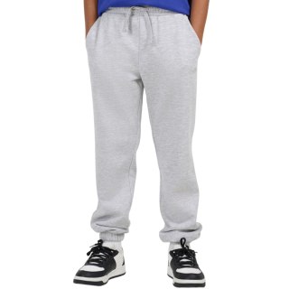 Spodnie dla chłopca 4F CAS M1188 jasny szary 4FJWMM00TTROM1188 25M 4F