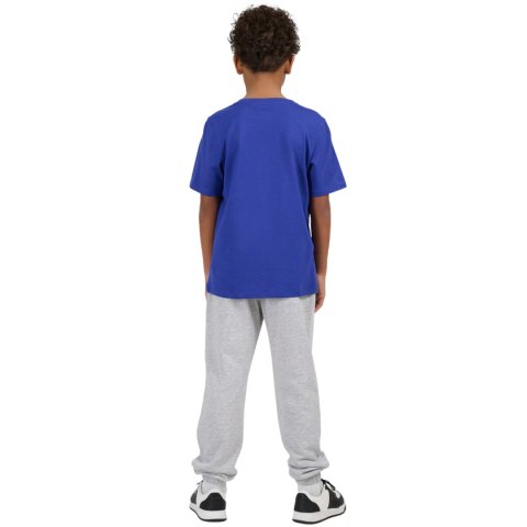 Spodnie dla chłopca 4F CAS M1188 jasny szary 4FJWMM00TTROM1188 25M 4F